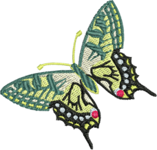 schmetterling.png